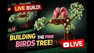 Building the LEGO Love Birds LIVE 💕 | Valentine&rsquo;s Day Set Build w/ My Wife