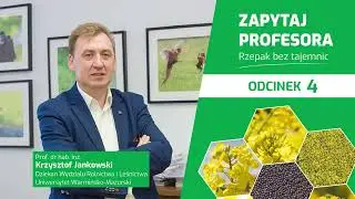 Rzepaki odporne na Verticillium, Sclerotinia i Phoma? Kiedy? | Zapytaj Profesora