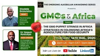 The GMO Puppet Strings in Africa: How our systems have been compromised for hegemonic control. 