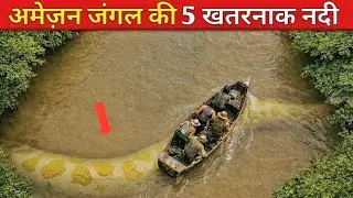 अमेज़न जंगल की 5 खतरनाक नदी। Five Dangerous Rivers of the Amazon Rainforest 😱