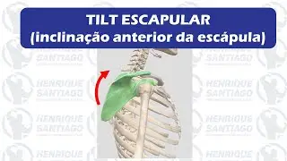 TILT Escapular