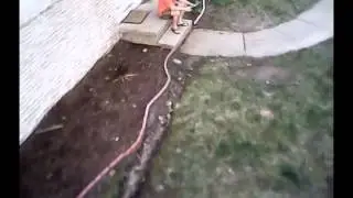 Insane quad captor skills
