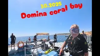 Diving 10.2025. Domina coral bay. Sharm El Sheikh