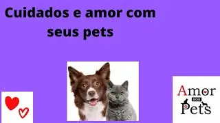 como cuidar dos pets