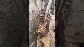&ldquo;Ancient tribal weapons made from bird feathers&rdquo;