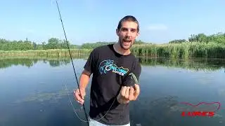 How to use a Delong XL Tadpole