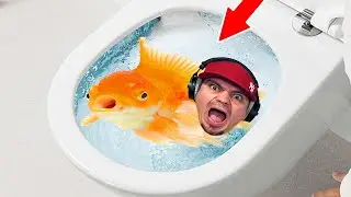 JESTEM ZŁOTĄ RYBKĄ I SPŁUKALI MNIE W KIBLU! 🐠 I Am Fish