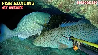 NIGHT SPEARFISHING EPISODE 190 | FISH HUNTING AT NIGHT