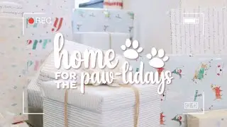 Home for the Paw-lidays with Carlson&reg; - Indoor Pet Ramp