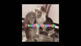 I want to be Ninja