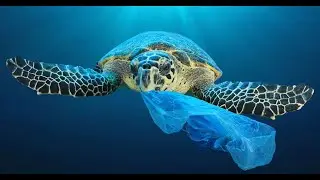 HP Planet Partners recycling program|HP products made with ocean-bound plastic