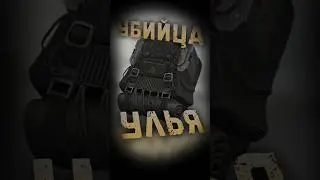 Лучше улья? (Stalcraft X) #stalcraftx #сталкрафт #сталкрафтх #stalcraft #stalker #silksong