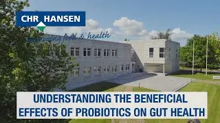 The Effect of Probiotics on Chicken Gut (English subtitles)