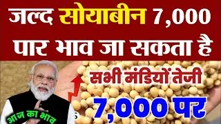 18 जनवरी 2026 aaj ka soybean bhav, soyabean ka bhav, soya ka rate, soybean mandi bhav,soya plant