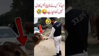how to Pakistan police funny video#funnyshots#viralshots#comedy#animals#Pakistanpolice#amazing