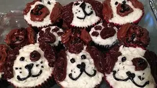 SPCA National Cupcake Day Fundraiser - Shaw TV Nanaimo