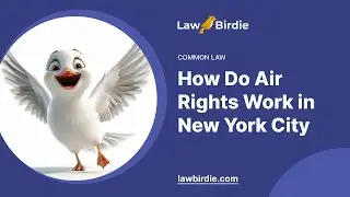 How Do Air Rights Work in New York City - Essay Example