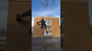 Day 6 Shed build 👍 trick shot at the end 😂 #framing #tools #carpentry #construction