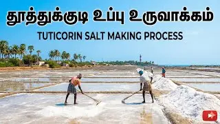 Thoothukudi Uppu Uruvakkam | Tuticorin Salt Making Process | Tamil Nadu Natural Salt