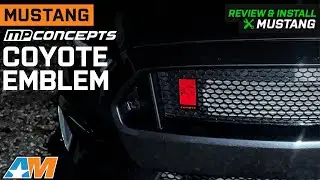 Ford Mustang MP Concepts Coyote Emblem Review & Install