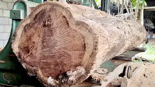 Красивая текстура древесины тика, распиленная на лесопилке.