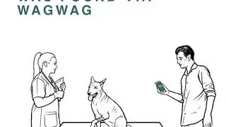 Saving stray animals with WAGWAG