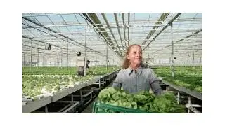 What  is AGRIVOLTAIC FARMING? The Basics