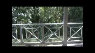 Bellefield Great House and Plantation (Jamaica)