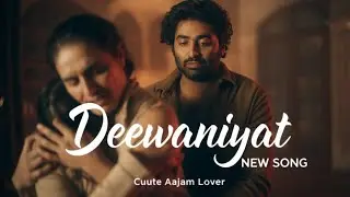Deewaniyat | Arijit Singh | Aajam Malik | Emotional Love Song 2025 | New Song | Bollywood Love Song