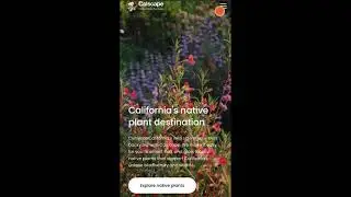 How to find California native plants with Calscape.org