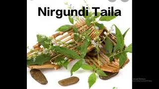 NIRGUNDI TAILA  reduce pain, swelling, inflammation, hair tonic MORE DETAILS  DESCRIPATION