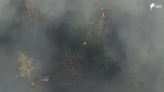 静岡・藤枝市の山林火災 2日目も延焼続く