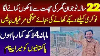 How to start fancy poultry farming at home