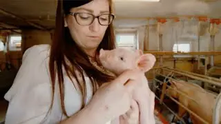 Andress O&Ouml;: Beim Schweinez&uuml;chter