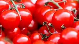 Reducing Postharvest Loss in Nigeria - Tomatoes