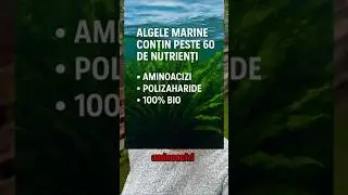 🌿 CUM &Icirc;ȚI TRANSFORMĂ ALGELE MARINE CULTURA?Un boost natural pentru dezvoltarea plantelor! 🚀