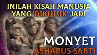 KISAH ASHABUS SABTI YANG DIKUTUK MENJADI MONYET KARENA MELANGGAR HARI SABTU