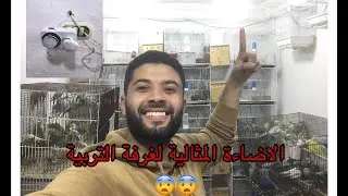 شكل الاضاءة في غرفة تربية الطيور😨 ازاي اضبط الاضاءة العصافير 🤔🤔#الرينبو #طفرات_البادجي