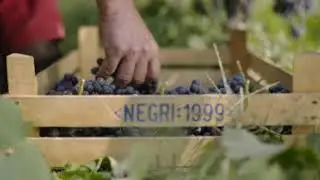 Vinicum - Benvenuto nella pi&ugrave; grande cantina d&rsquo;Italia!