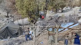 Building a warm and safe place for sheep in the cold mountains