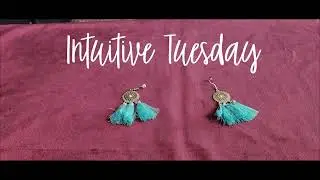 Intuitive Tuesday: 💫 Cat Treat Showdown: What Will She Pick? 🍣