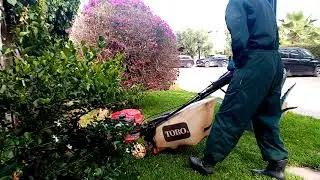Le mellieur jardinier  au Maroc 0701266447