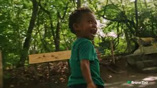 African Plains :15s | Bronx Zoo