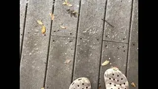 A Snow Day in Austin