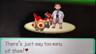 Pok&eacute;mon Too Many Types 2 Episode 1: A Different Type of Hoenn!
