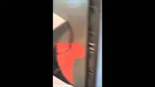 Pablo Picasso Woman in Red Vandalized - Conquista la Bestia