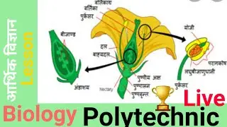 economic science questions polytechnic entrance exam 2021Target100%success see all playlist video