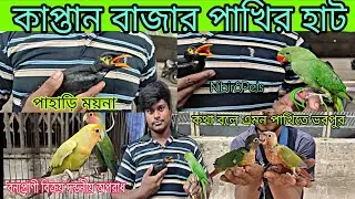 কাপ্তান বাজার পাখির হাট ২০২৫/ Kaptanbazar Phakir Hat 2025 / পাখির হাট ২০২৫