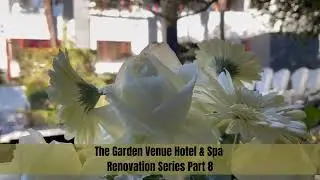The Garden Venue: A dream venue, beautifully renewed forever | Wedding venue based in Johannesburg