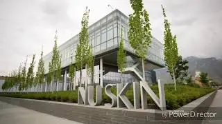 THE TOP 10 DIRECT SELLING COMPANY IN THE WORLD